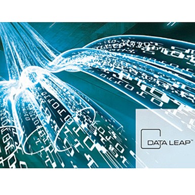DATA LEAP™ -  управления производством.
